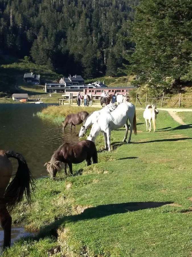 Дом отдыха Gite Cosy Lac De Payolle Кампан