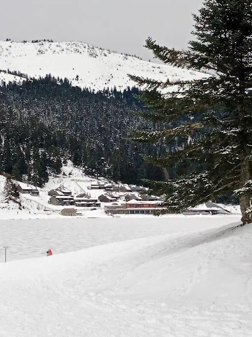 Gite Cosy Lac De Payolle Кампан